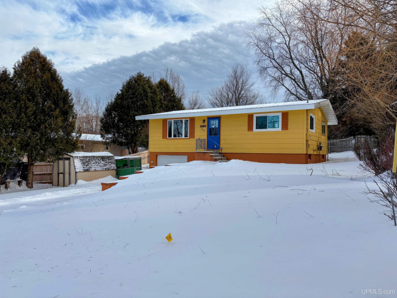 Suburban neighborhood in Michigan with tree-lined streets