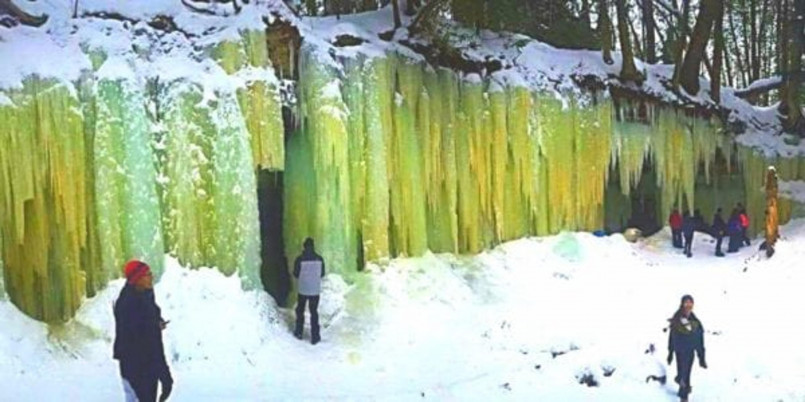Snow-covered forest in Michigan's Upper Peninsula