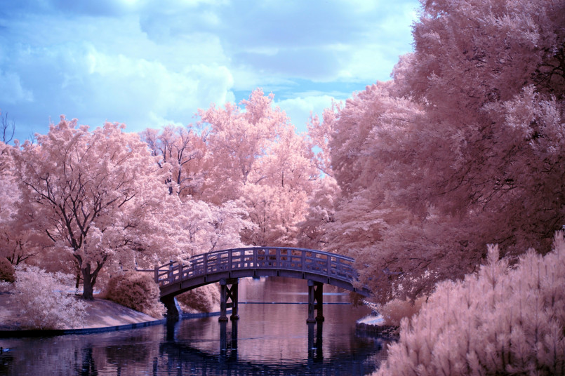 Traditional Japanese garden with stone lanterns, wooden bridge, and reflecting pond