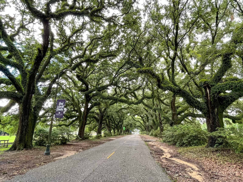 Downtown Mobile, Alabama during a heavy rainstorm with pedestrians using umbrellas