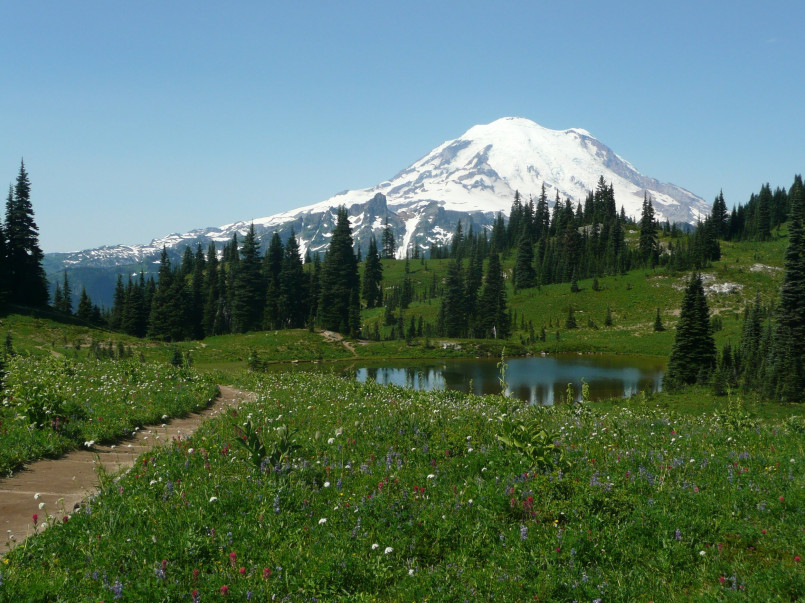 Mount Rainier National Park wildflower hiking trail Hikers on trail through wildflower meadows with Mount Rainier in background