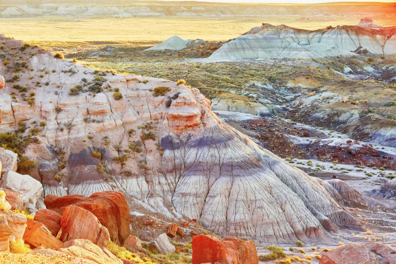 Multicolored sedimentary hills and formations in the Painted Desert