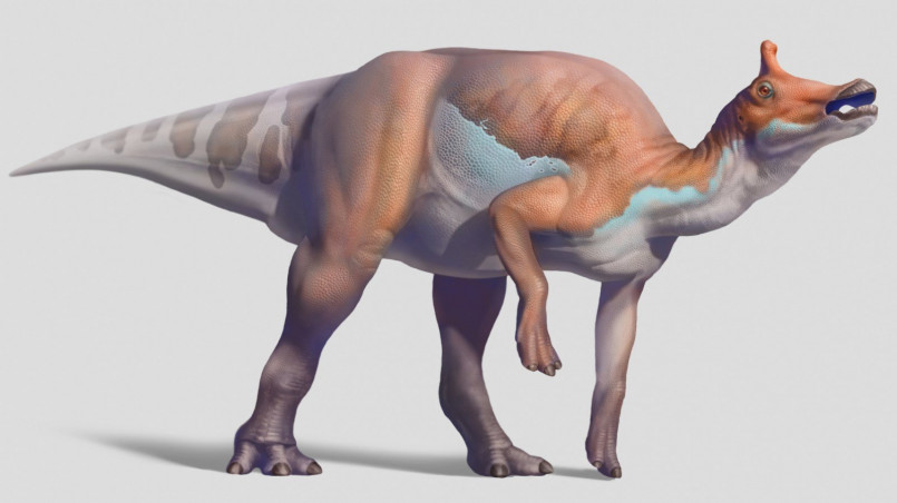 California's Official Dinosaur: The Fascinating Story Behind Augustynolophus morrisi