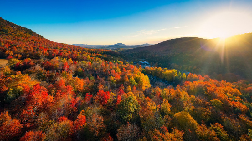 New England fall foliage 12 Spectacular Places to See Fall Foliage in the USA