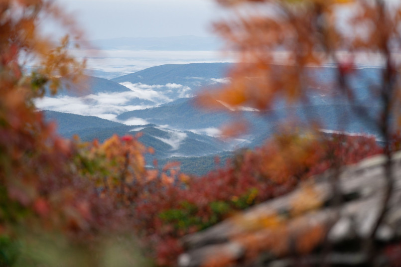 Scenic view of colorful fall foliage along the Blue Ridge Parkway in North Carolina