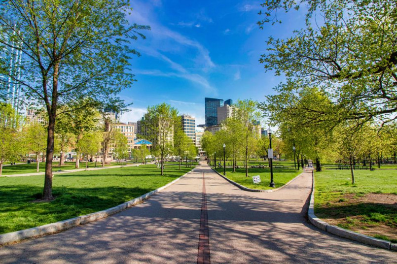 Freedom Trail Boston Common People walking along the red brick Freedom Trail path through Boston Common with historic buildings in background