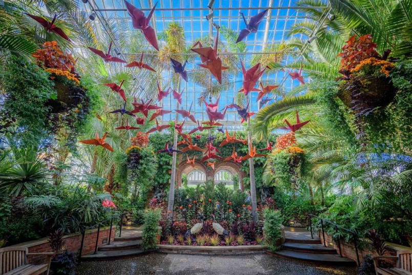Victorian glass conservatory interior with palm trees and ornate iron framework
