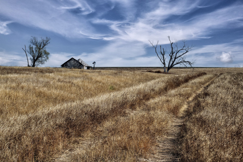 Prairie plowing homestead farming Great Plains Homesteaders plowing virgin prairie grassland for crops