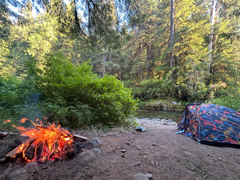 Remote forest campsite creek Small tent beside a bubbling forest creek surrounded by towering pines and ferns