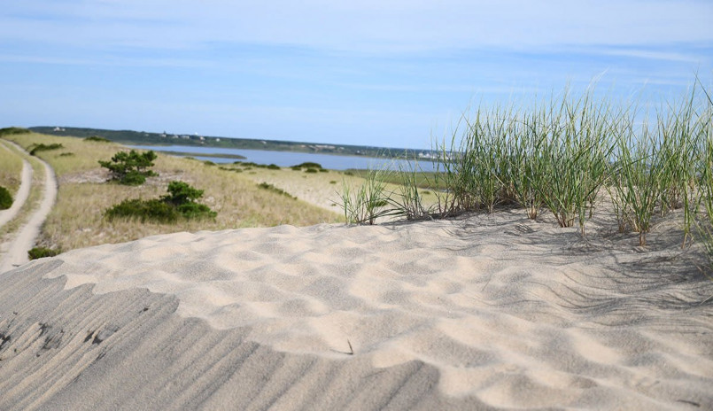 Cape cod national seashore massachusetts dunes Sand dunes and beach grass at Cape Cod National Seashore