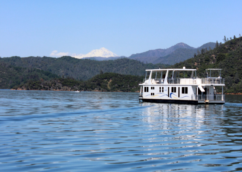 Marina filled with houseboats on Shasta Lake with forested mountains in background