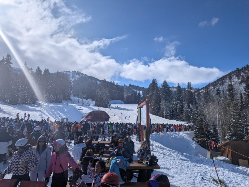 Skiers enjoying fresh powder on a bluebird day at a mountain resort