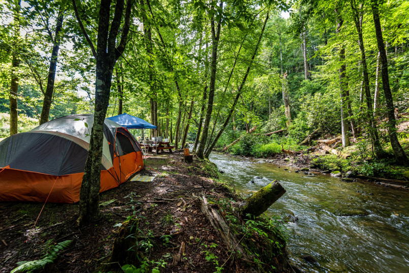 Small tent beside a bubbling forest creek surrounded by towering pines and ferns