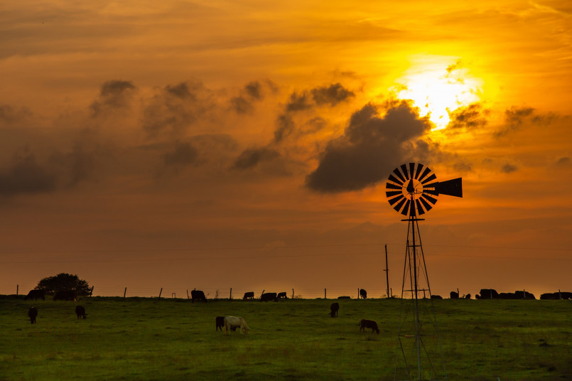 Texas wind farm sunset Wind turbines on a Texas plain with sunset backdrop