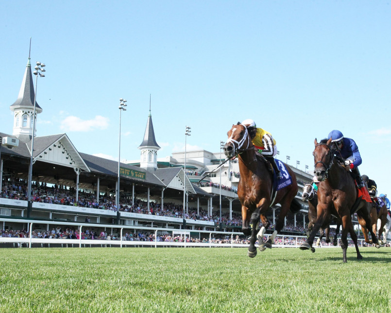 7 Reasons Why Kentucky Dominates Horse Racing Industry