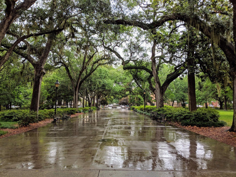 Tree-lined pedestrian path through Forsyth Park in Savannah with moss-draped oak trees and historic fountain
