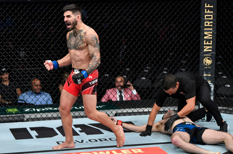 Two MMA fighters competing in the UFC octagon surrounded by excited fans