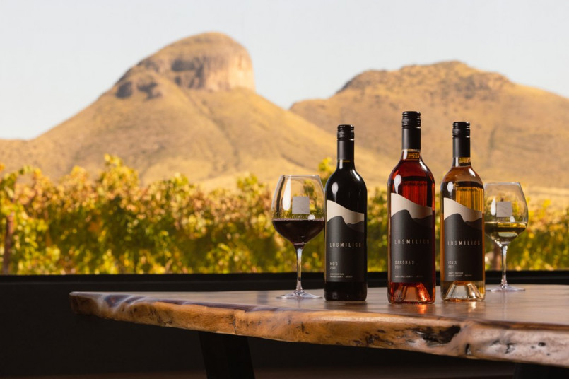 Arizona vineyard sonoita mountains desert Vineyard rows with desert mountains in background in Sonoita, Arizona
