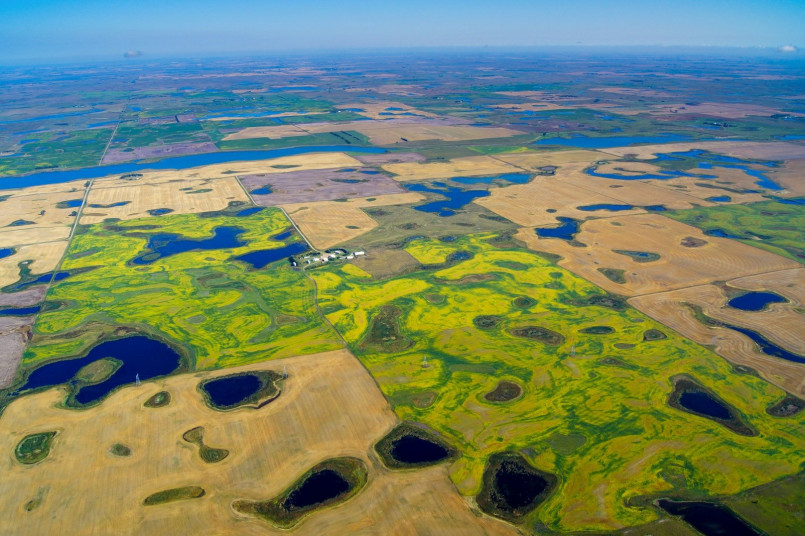 North Dakota prairie pothole wetlands Wetland potholes in North Dakota prairie landscape with waterfowl