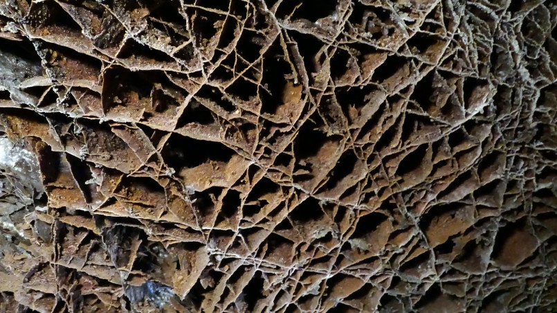 Unique honeycomb-patterned boxwork formations on the ceiling of Wind Cave