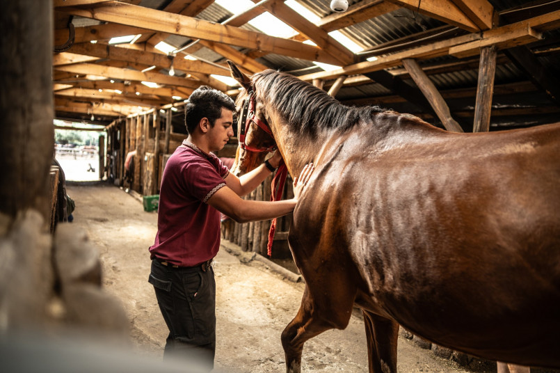 Workers training young thoroughbreds at a professional Kentucky horse farm facility