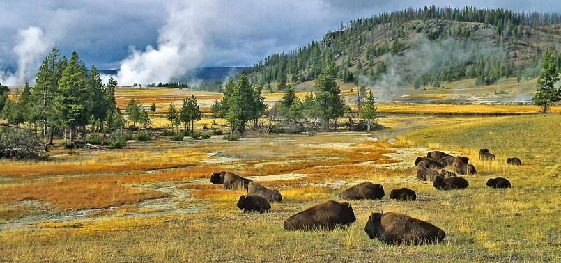 Yellowstone National Park in Wyoming with geysers and mountain backdrop
