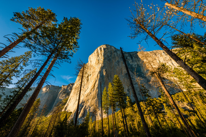 Yosemite Valley with El Capitan and Merced River
