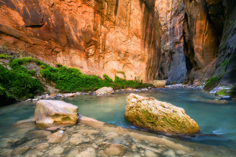 Zion narrows slot canyon utah Hikers wading through the Virgin River in The Narrows with towering red rock walls on both sides