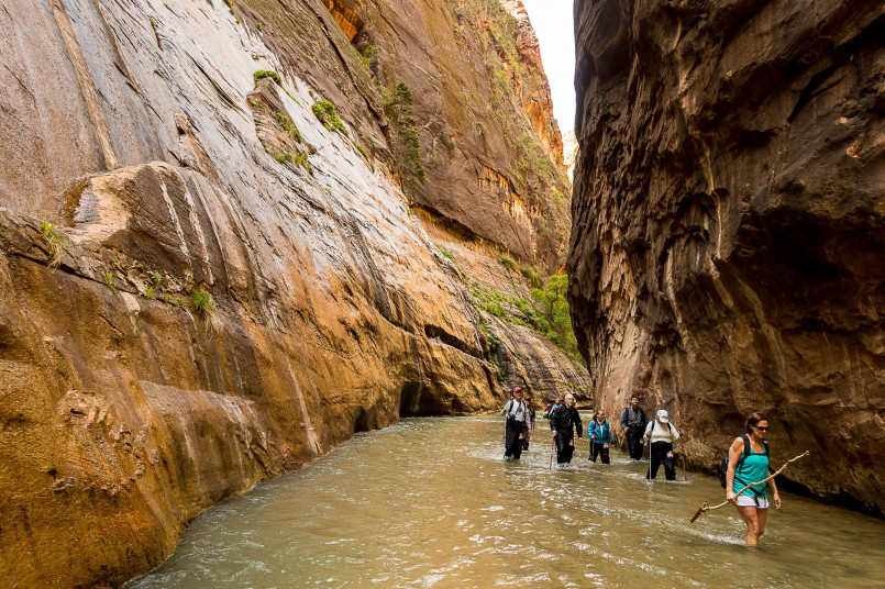 Hikers wading through the Virgin River in the dramatic slot canyon known as the Narrows in Zion National Park
